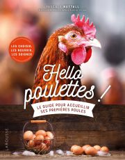 Hello Poulettes !