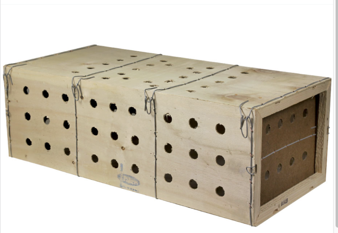 Caisse de transport en bois