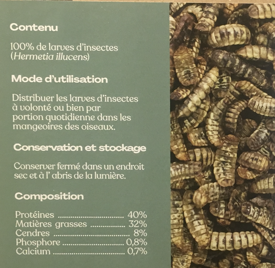 Insectes séchés